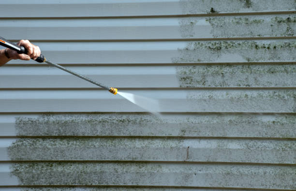 Local Pressure Washing Services in La Plata, MO