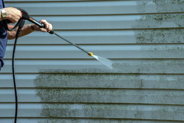 Best Local Pressure Washing Services  in La Plata, MO