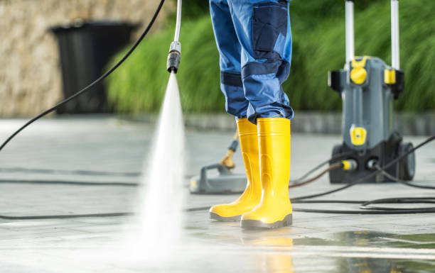 Best Roof Pressure Washing  in La Plata, MO