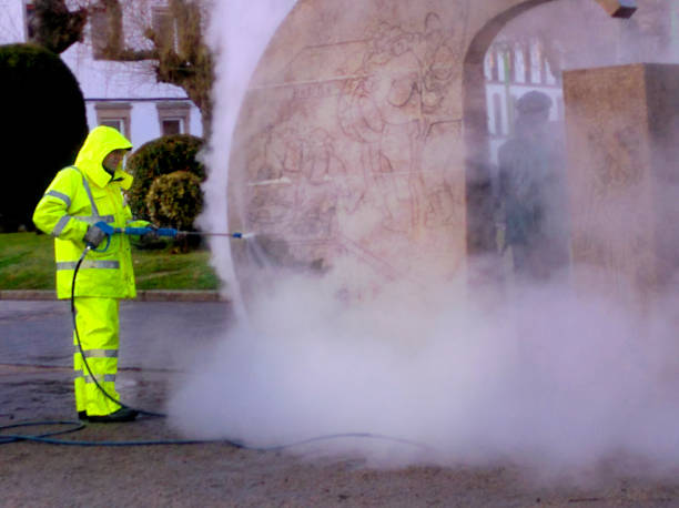 Best Sidewalk Pressure Washing  in La Plata, MO