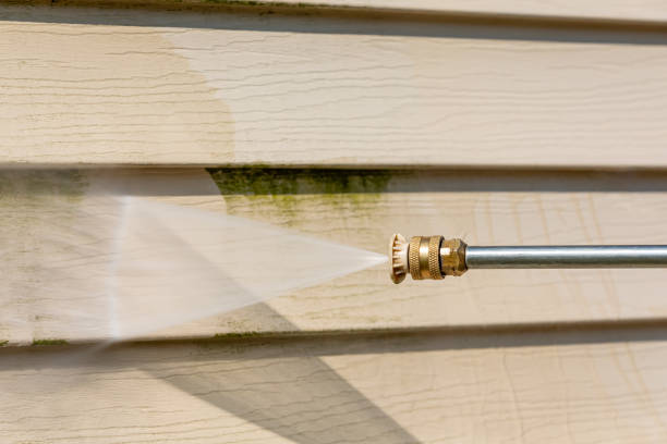 Best Roof Power Washing Services  in La Plata, MO